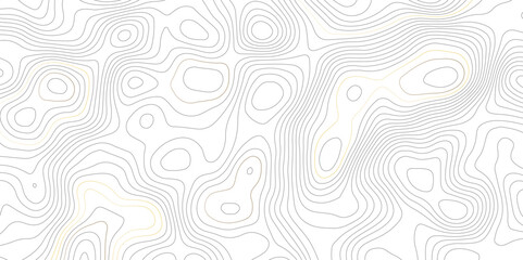 Topographic beautiful white and black contour topo wavy pattern map line design, geography map line, presentation white background. Use for template, wallpaper, web vector illustration.  
