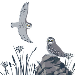 vector drawing birds, great horned owl sitting at rock, hand drawn Bubo virginianus , isolated nature design element