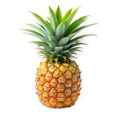 onepineappleisolatedonawhitebackground isolated on transparent background png