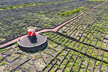 Red windmill and tradicional vineyard on Pico Island, Azores Portugal