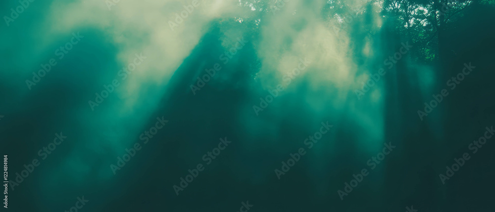 Poster Light filters through fog creating a diffused atmosphere against a dark background