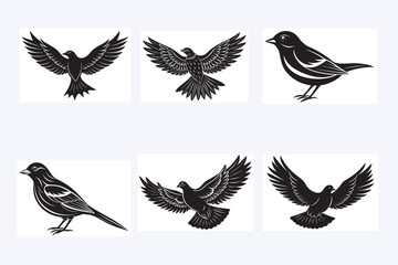 6 Birds Illustration3.eps