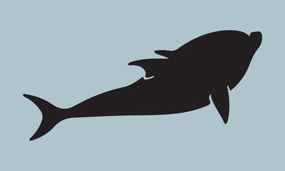 fish silhouette vector illustration fish, illustration, vector, in silhouette, underwater, undersea, seafood, animal, sea, cut out, horizontal, icon set, outline, usa, cartoon, fishing, crab, nature, 