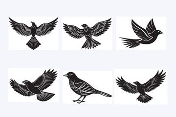 6 Birds Illustration.eps