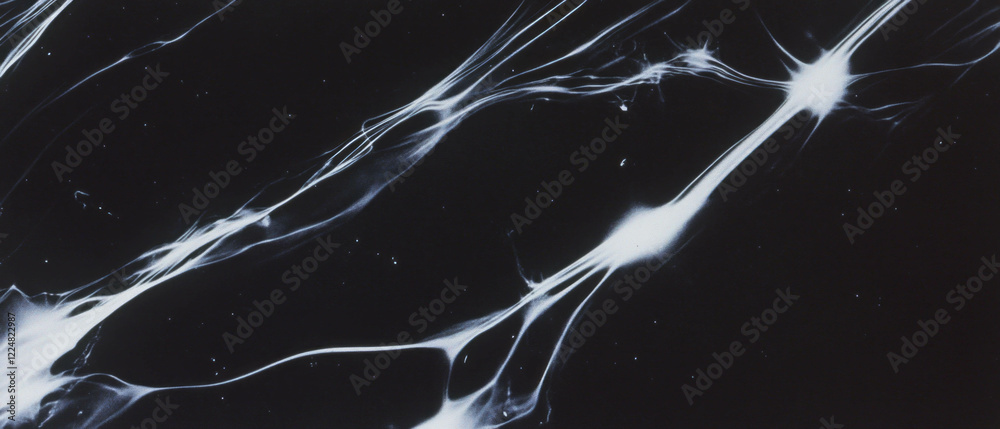 Poster elegant line texture with delicate patterns on black for creative designs