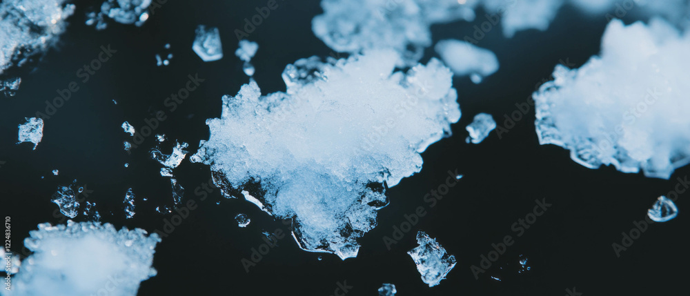 Poster snowflakes softly resting on a dark background with a cold blue hue creating a winter atmosphere