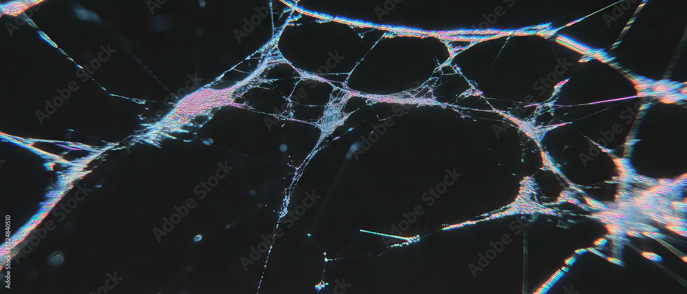 Fototapete Spider web overlay texture with torn threads creates a captivating visual on a black background