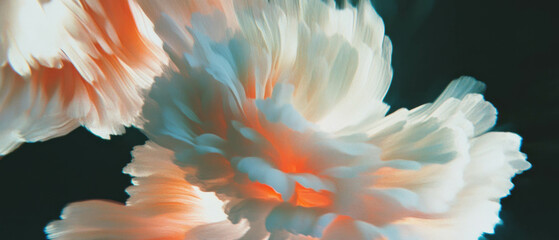 Obraz premium Swirling spiral petal arrangements creating a dynamic vortex effect on a dark background