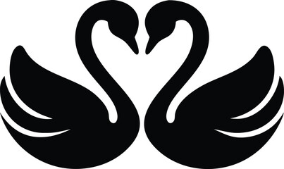 Fototapeta premium black swan