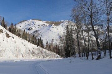 Obraz premium Frozen frozen Malaya Ulba river in the mountains of Eastern Kazakhstan in winter