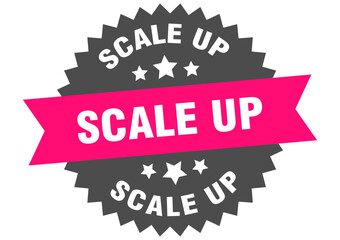 scale up. scale up round pink label isolated on transparent background