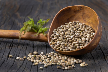 Handcrafted wooden scoop filled with hemp seeds and fresh leaves on rustic wooden surface