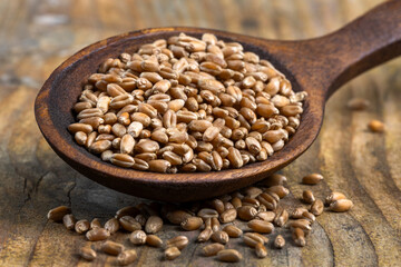 Brown seeds placed in a wooden spoon on a rustic wooden table