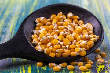 Close-up of dried corn kernels on a wooden spoon against a vibrant textured background showcasing their natural color and texture