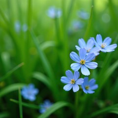 Fototapeta premium Tiny cyanthillium cinereum blooms in shades of blue and white amidst a lush green hanging grass, flowers, meadow