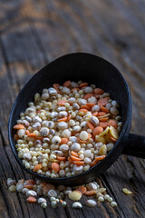 Various grains and seeds displayed in a rustic scoop on a wooden surface