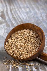 Freshly harvested sesame seeds in a wooden spoon on a rustic surface showcasing the natural texture and colors of the seeds