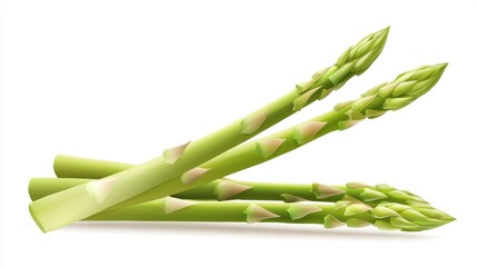 Fresh Green Asparagus