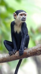 Obraz premium Wild monkey sitting on a tree branch in a lush environment during daylight hours