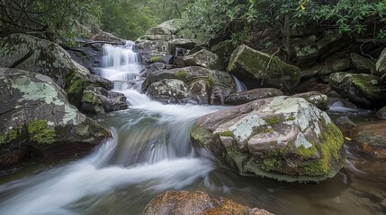 Fototapeta premium Serene waterfall cascading over moss-covered rocks in lush forest setting