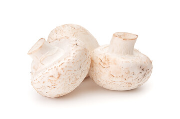  Fresh whole champignons close up on a white background