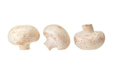 Few fresh whole champignons close up isolated on a white background