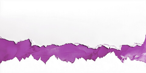 purple paper edge ripped torn white flat background isolated