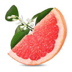 Juicy grapefruit slice and citrus plant branch isolated on white