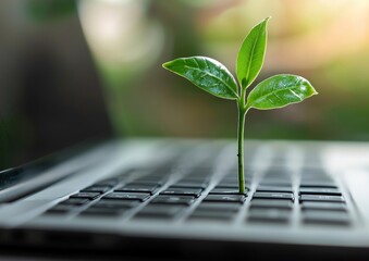 A flourishing green plant grows out of a laptop's keyboard, symbolizing innovation that is eco-friendly, sustainable technology, and responsible environmental communication systems