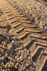 A large tire track imprinted in dry, cracked soil, likely from heavy machinery, indicating recent activity in a rural or construction area.