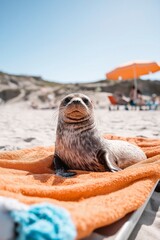 Playful seal sunbathing on a towel at the beach with vibrant umbrellas and cheerful visitors enjoying a sunny day. Generative AI