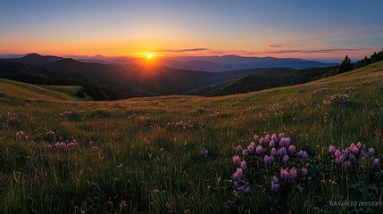 Obraz premium Serene Sunset Over Mountain Landscape with Wildflowers
