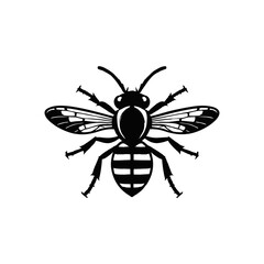 Hornet Vector Illustration Fill and Outline Isolated 