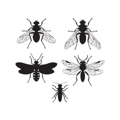 vector images, perfect for white background designs. These high-quality silhouettes are ideal for creative projects, digital designs, educational materials, and decorative art, providing endless 