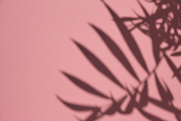 Tropical palm leaves shadows on the pink paper background. Copy space