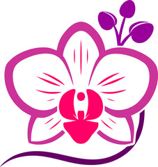 Pink and white orchid flower illustration with floral design