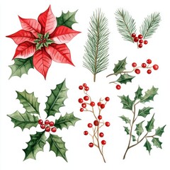 Watercolor Christmas floral elements; holly, poinsettia, pine; holiday design