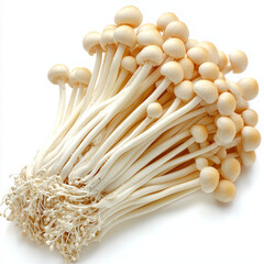 Cluster of pale, slender mushrooms, densely packed at the base.