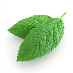 Fototapeta premium Realistic 3D Single Mint Leaf Finely Detailed for Stock Use