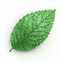 Obraz premium Fresh Mint Leaf Icon with Natural Appearance in 3D Design Format