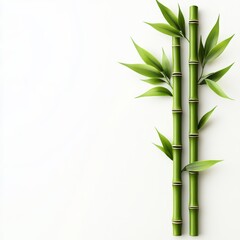 Naklejka premium Stylized 3D Icon of Bamboo Stalks with Green Leaves on White Background