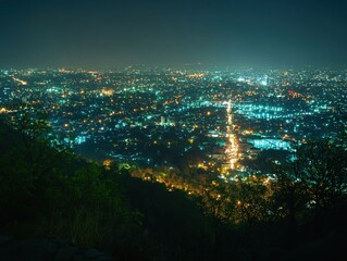 Obraz premium City lights glow at night from a high vantage point with dark trees in the foreground