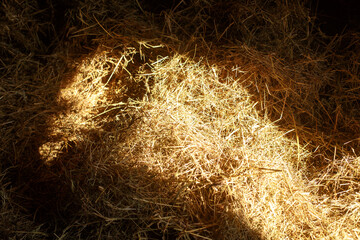 Hayloft. A sunbeam falls through an open window onto a large pile of hay in a barn. Country life and romance.