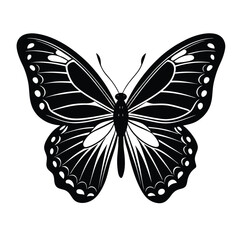 Common blue butterfly silhouette vector isolated on White background