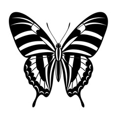 Zebra swallowtail butterfly silhouette vector isolated on White background