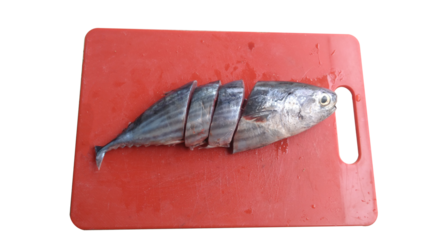 Cut tuna fish, placed on a red plate, isolated on a transparent background