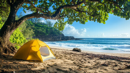 Exciting charity marathon event central park sports photography urban environment aerial view community engagement