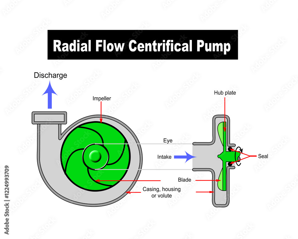 Fototapete a labelled graphic of a radial flow centrifugal pump with some 3d components was rendered for clarit