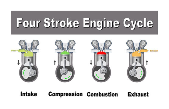 A 3D-rendered illustration of a four stroke engine cycle, including the intake, compression, ignition or power and exhaust cycle, isolated on a white background
