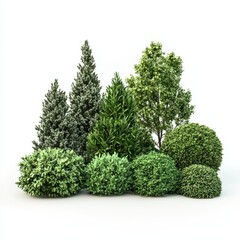 Fototapeta premium Diverse Selection of Realistic Green Plants and Bushes for Landscaping